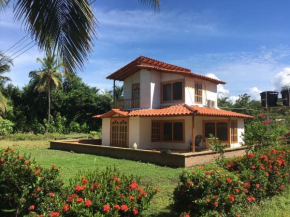 El palmar azul